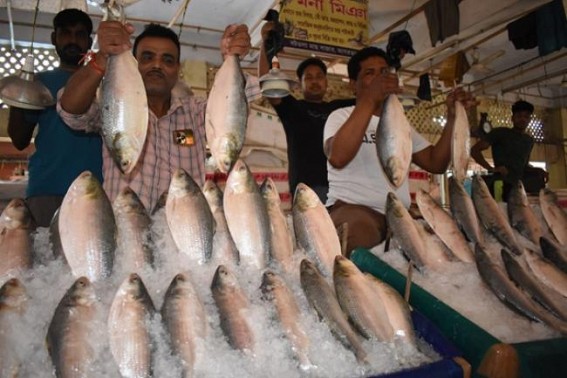 Hilsa Fish arrive in markets ahead of Poyla Boishakh with skyrocketing price Rs. 1,800 per kilo Hilsa Fish arrive in markets ahead of Poyla Boishakh with skyrocketing price Rs. 1,800 per kilo